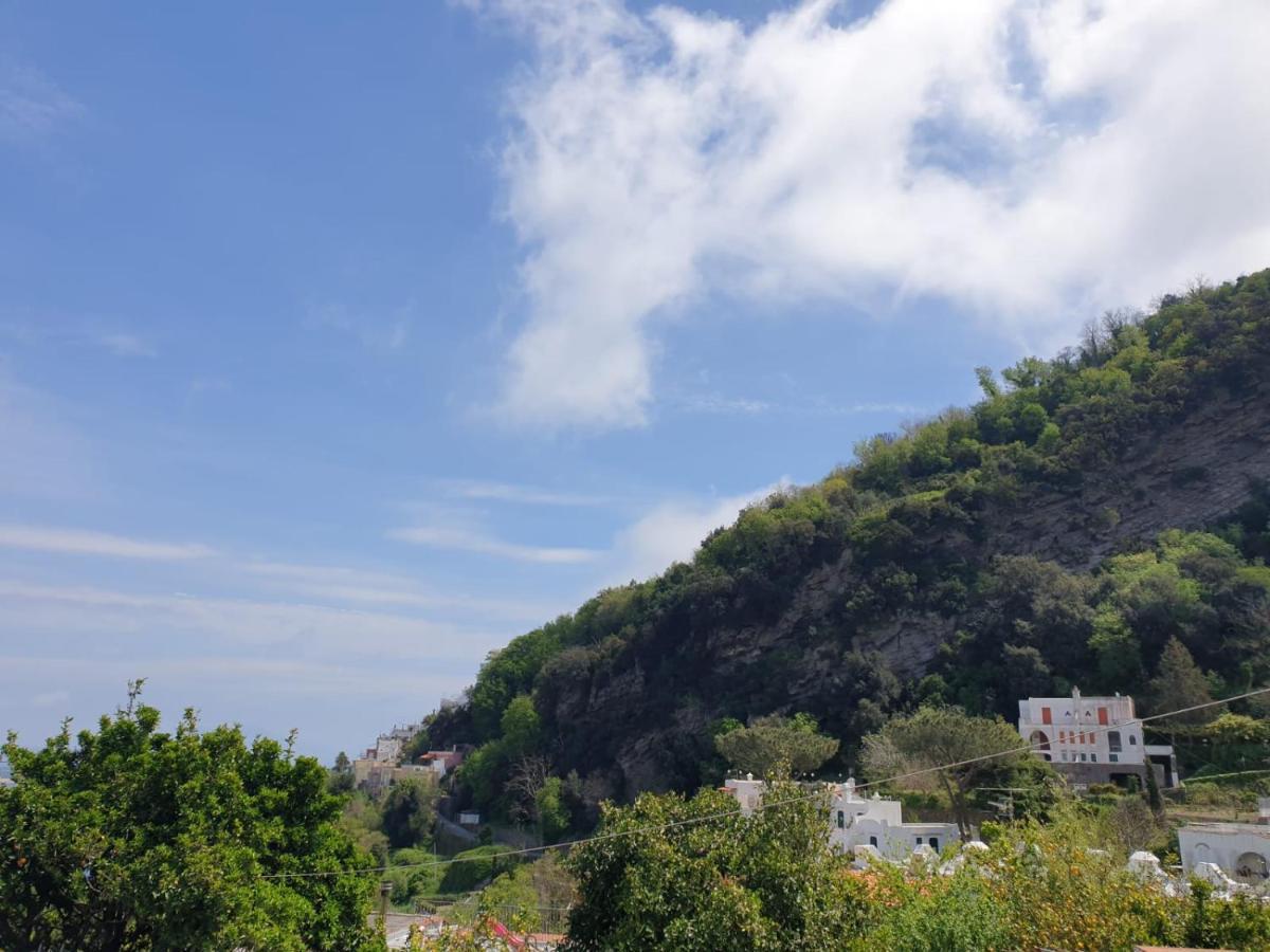 Sweet Home La Chicca Ischia Esterno foto