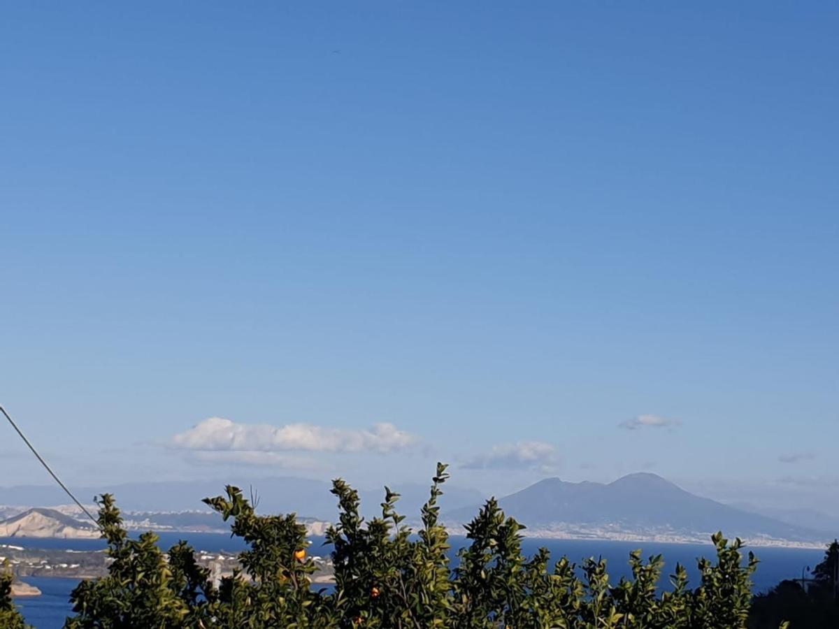 Sweet Home La Chicca Ischia Esterno foto